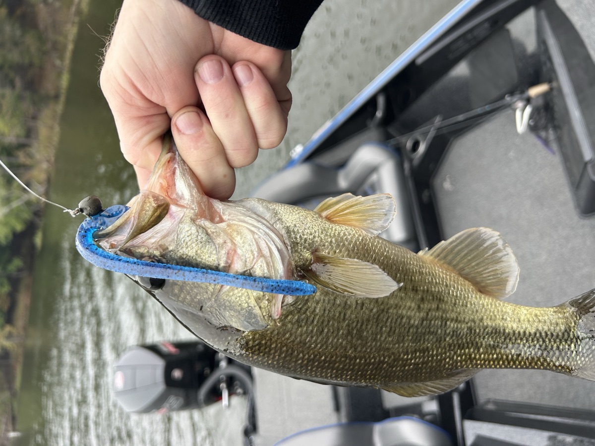 Largemouth bass with WiCo stickbait Catawba River